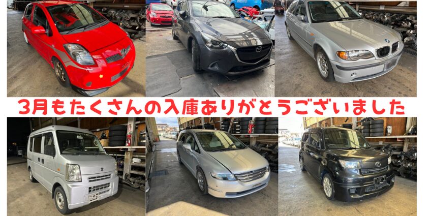 3月もたくさんの入庫ありがとうございました。