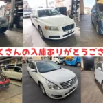 2月もたくさんの入庫ありがとうございました